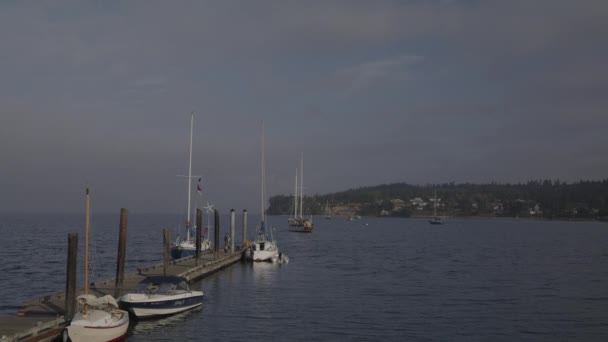 Vista Panorámica Veleros Muelle Frente Mar Coupeville Washington Estados Unidos — Vídeos de Stock