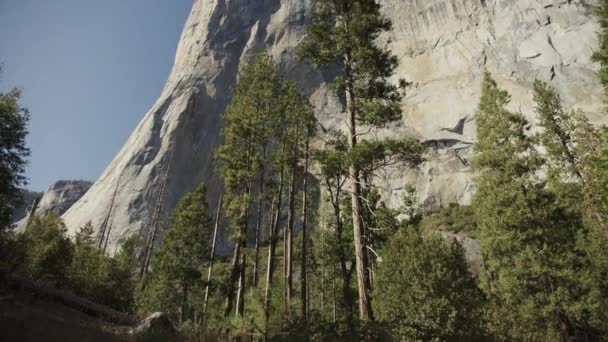 Incline Para Vista Panorâmica Das Árvores Capitan Yosemite Valley Califórnia — Vídeo de Stock