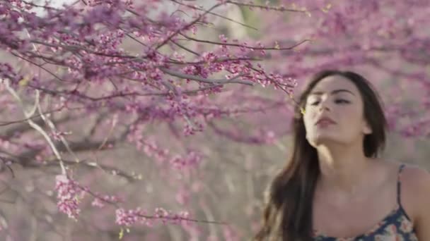 Primer Plano Panorámica Mujer Oliendo Flores Luego Estornudando Cedar Hills — Vídeo de stock