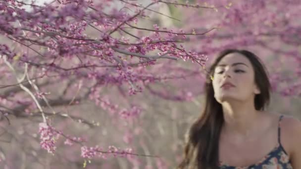 Gros Plan Panoramique Femme Sentant Les Fleurs Puis Éternuer Cedar — Video