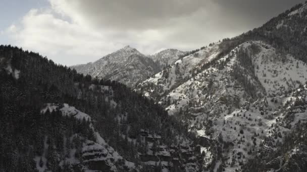 Aerial Flyover View Snow Mountain Range Trees American Fork Canyon — Stock videók