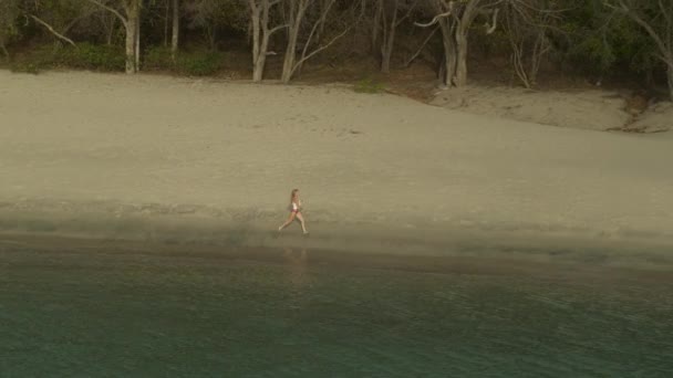 Vista Aérea Una Mujer Distante Corriendo Playa Del Océano Bahía — Vídeos de Stock