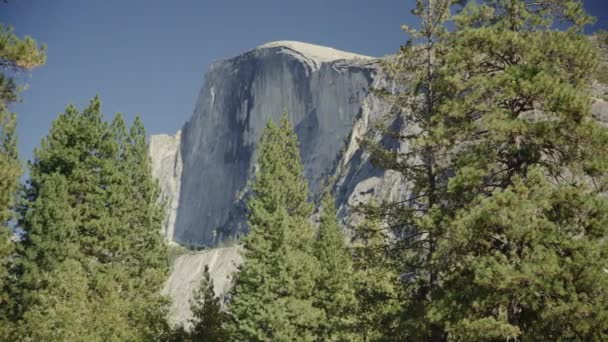 Panning Shot Scenic View Trees Mountains Yosemite Valley Καλιφόρνια Ηνωμένες — Αρχείο Βίντεο