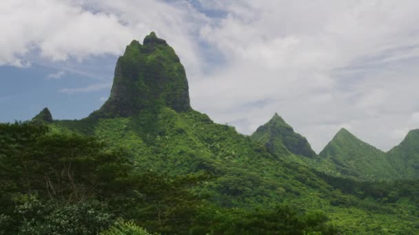 Vento Soprando Galhos Árvores Perto Paisagem Exuberante Montanha Verde Moorea — Vídeo de Stock