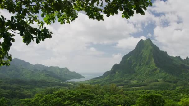 Ramas Árboles Soplando Viento Cerca Vista Panorámica Montaña Tropical Moorea — Vídeos de Stock