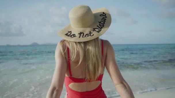 Vista Trasera Mujer Sentada Playa Del Océano Usando Molestar Sombrero — Vídeo de stock
