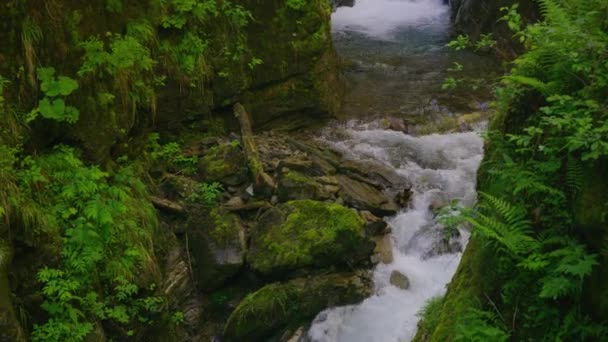 Wide High Angle Panning Shot Scenic View Waterfall Flattach Austria — Stock Video