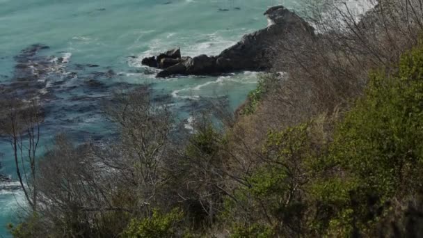 Naklonění Stromů Odhalující Mořské Vlny Skalnatém Pobřeží Big Sur California — Stock video