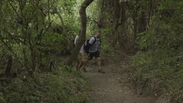 Pár Kéz Kézben Túrázás Kanyargós Ösvényen Erdőben Cerro Verde Santa — Stock videók