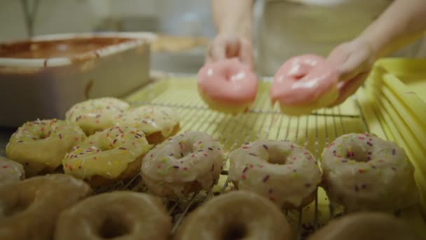 Close Hands Baker Putting Donuts Rack Pleasant Grove Utah Estados — Vídeo de Stock