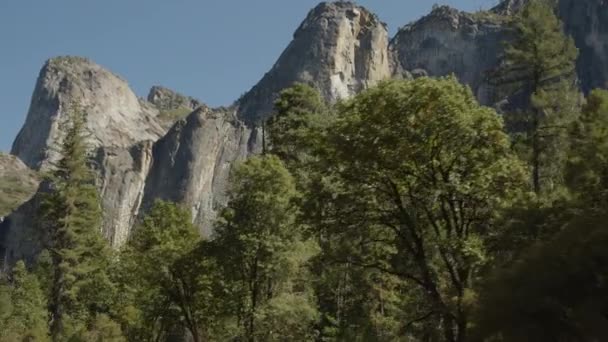 Låg Vinkel Panorering Skott Träd Och Berg Yosemite Valley Kalifornien — Stockvideo