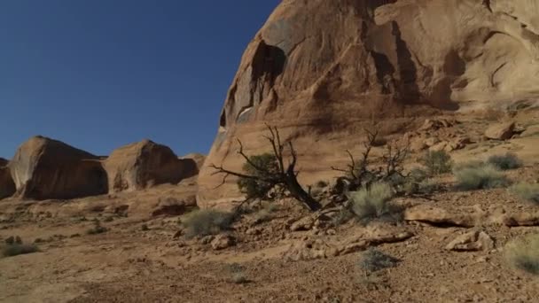 Panning Shot Shrubs Sandstone Rock Formations Moab Utah Estados Unidos — Vídeo de Stock