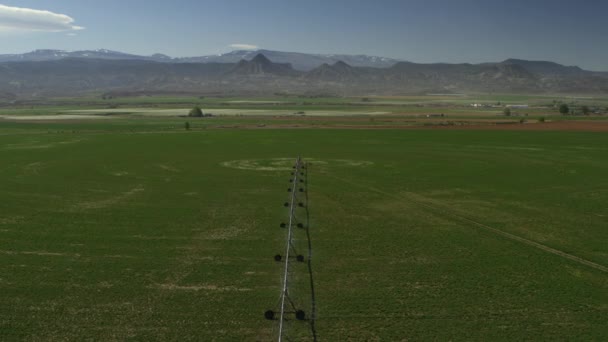 Vista Aérea Equipamento Irrigação Lavoura Rega Fazenda Aurora Utah Estados — Vídeo de Stock