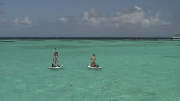 Panning Shot Couple Paddleboarding Ocean Tobago Cays Vincent Grenadines — Stock videók