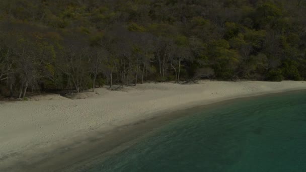 木の並ぶ海のビーチのパンニングショット Anse Roche Bay Carriacou Grenada — ストック動画