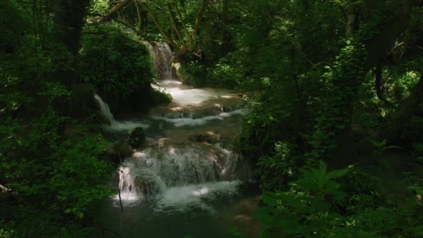 Szeroki Kąt Ujęcia Odległych Wodospadów Lesie Krushuna Bułgaria — Wideo stockowe
