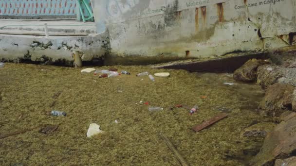 クリフトン ユニオン島 セントビンセント グレナディーン付近の海の波に流れるゴミ — ストック動画
