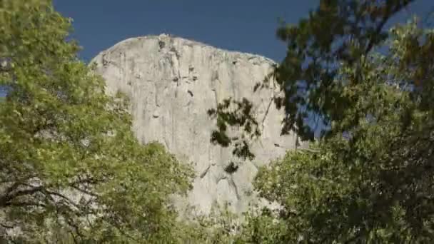 Vista Baixo Ângulo Sob Árvores Que Aproximam Formação Rochosa Yosemite — Vídeo de Stock