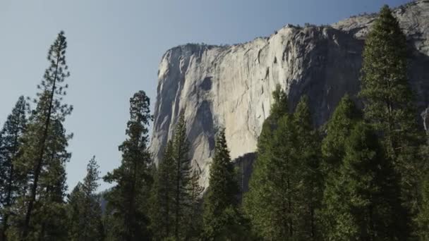 Panning Πλάνο Της Γραφικής Θέα Των Δέντρων Και Capitan Yosemite — Αρχείο Βίντεο
