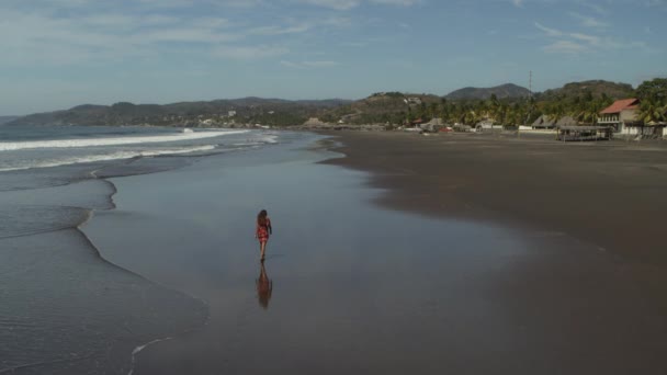 Vue Aérienne Une Femme Marchant Sur Une Plage Ensoleillée Océan — Video