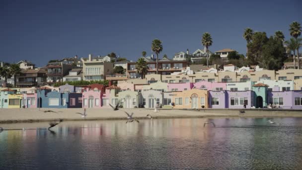 Birds Flying Bay Beach Multicolor Houses Capitola California Stati Uniti — Video Stock