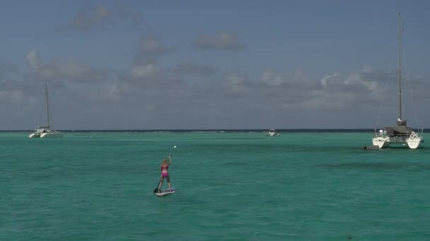 공중에서 Catamarans Tobago Cays Vincent Grenadines — 비디오