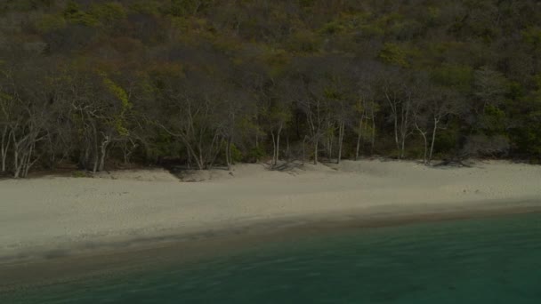 Vista Panorámica Playa Del Océano Arbolada Bahía Anse Roche Carriacou — Vídeo de stock