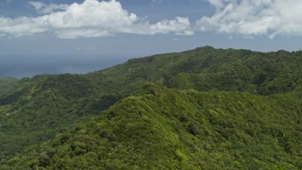 공중에서 아름다운 Grand Etang National Park Grenada — 비디오