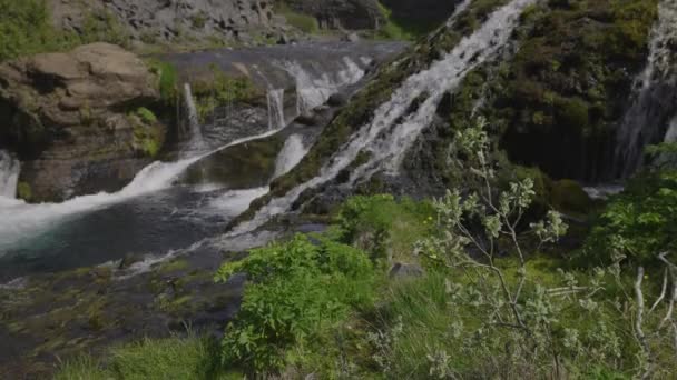 Listoví Vody Tekoucí Malebného Vodopádu Island — Stock video