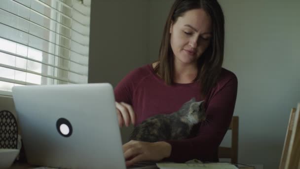 米国ユタ州マーレー 猫をペットしながら ラップトップと計算機を使用して請求書を支払う女性 — ストック動画