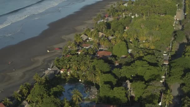 Αεροφωτογραφία Των Σπιτιών Στην Παραλία Του Ωκεανού Πυκνή Δέντρα San — Αρχείο Βίντεο