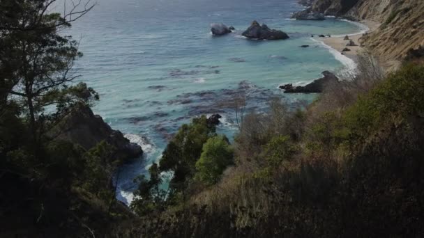 岩だらけの海岸の海の波の上の木のパンニングショット ビッグサー カリフォルニア州 アメリカ — ストック動画