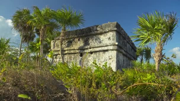 Vento Che Soffia Vicino Alle Antiche Rovine Maya Sulla Collina — Video Stock