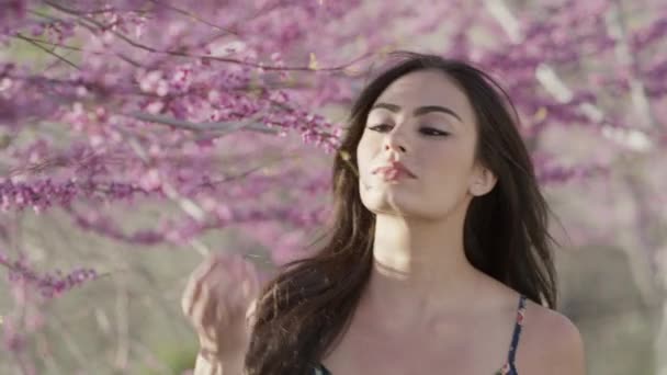 Close Slow Motion Panning Shot Woman Čichající Květiny Stromě Cedar — Stock video