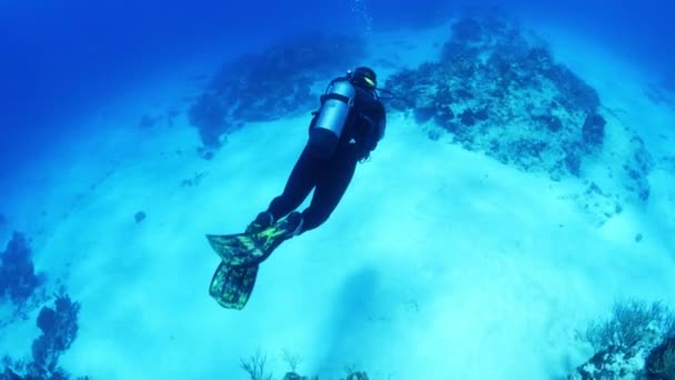 Vysokoúhlý Snímek Potápěče Plavajícího Blízkosti Dna Oceánu Cozumel Quintana Roo — Stock video