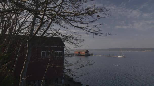Vista Panorámica Árbol Casa Botes Paseo Marítimo Coupeville Washington Estados — Vídeo de stock