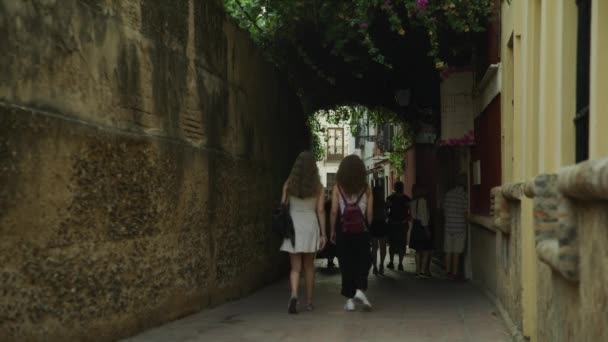 Πεζοί Που Περπατούν Στενό Πεζοδρόμιο Στην Πόλη Σεβίλλη Σεβίλλη Ισπανία — Αρχείο Βίντεο