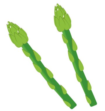 Beyaz arka planda izole edilmiş uzun kuşkonmaz. İki yeşil kapsül. Vektör illüstrasyonu.