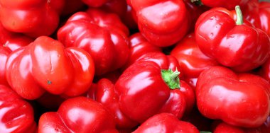 Sıcak Kiraz Bombası jalapenoya benzeyen orta sıcaklıkta biberdir. Bunlar popüler bir turşu biberi ya da fırında, ızgarada ya da kavrulmuş..