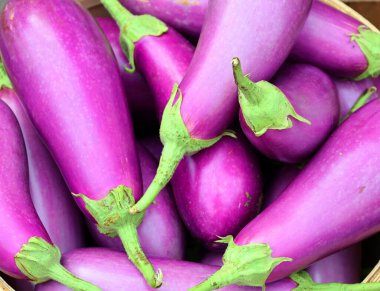 Japon patlıcanları uzun, ince ve dikdörtgendir. Bu mürekkep renkli meyve düz ya da hafif eğri olabilir ve koyu mor ya da yeşil bir sapı vardır.