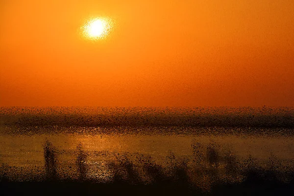 Psychedelischer Sonnenuntergang Auf Dem Strandhintergrund Mit Farbmuster Auf Glänzender Oberfläche — Stockfoto