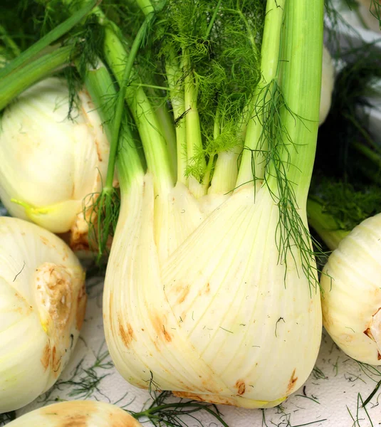 Venkelwortel Foeniculum Vulgare Een Plant Uit Familie Van Wortels Het — Stockfoto