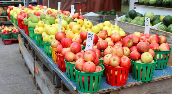 Las Manzanas Mercado Árbol Hoja Caduca Familia Las Rosas Mejor —  Fotos de Stock