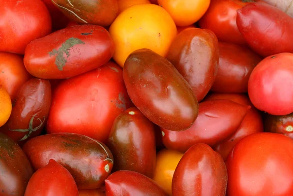 Pomidory Wiśniowe Targu Jean Talon Targ Rolniczy Montrealu Położony Dzielnicy — Zdjęcie stockowe