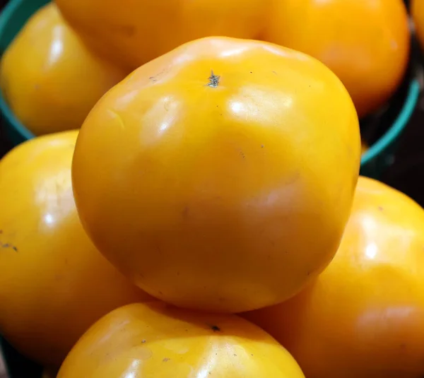 Los Tomates Amarillos Bistec Crystal Valley Aportan Color Brillante Soleado — Foto de Stock