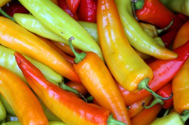 Jean Talon pazarında turuncu, sarı kırmızı ve yeşil acı biber, Montreal, Quebec, Kanada