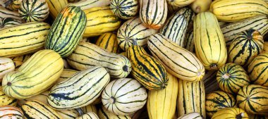 Leziz kabak, krem rengi silindirik meyveli, yeşil veya turuncu renkli, çeşitli bir kabaktır. Adından da anlaşılacağı üzere, özel olarak hassas bir kabuğu vardır.