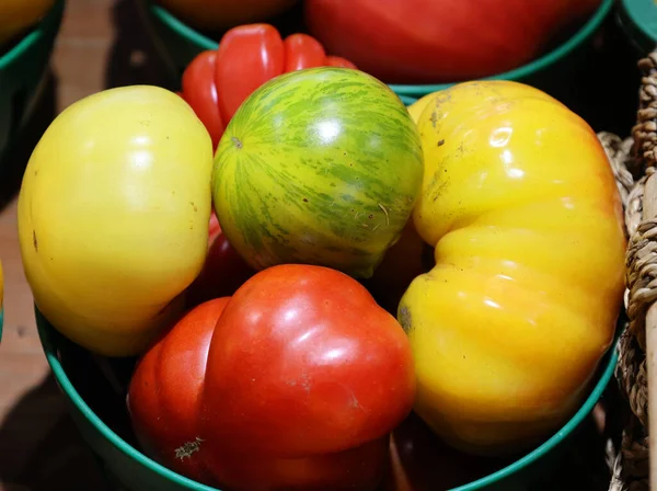Colorful Vintage Heirloom Tomatoes Vegetable — Stock Photo, Image