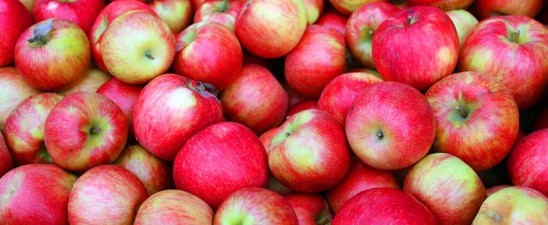 Die Auf Dem Markt Befindlichen Äpfel Sind Ein Laubbaum Aus — Stockfoto