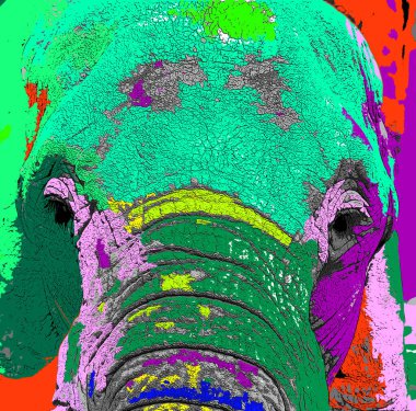 Renkli pop sanat fili simgesi